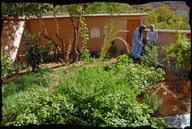 Cliquez pour agrandir l'image