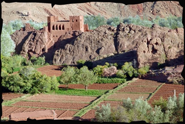 Cliquez pour agrandir l'image Cliquez pour agrandir l'image